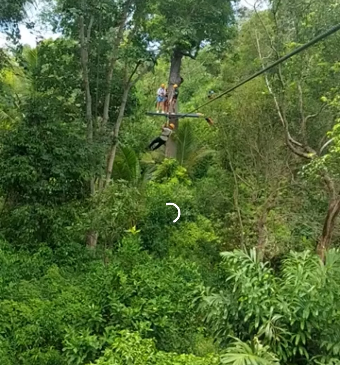 paradise zipline