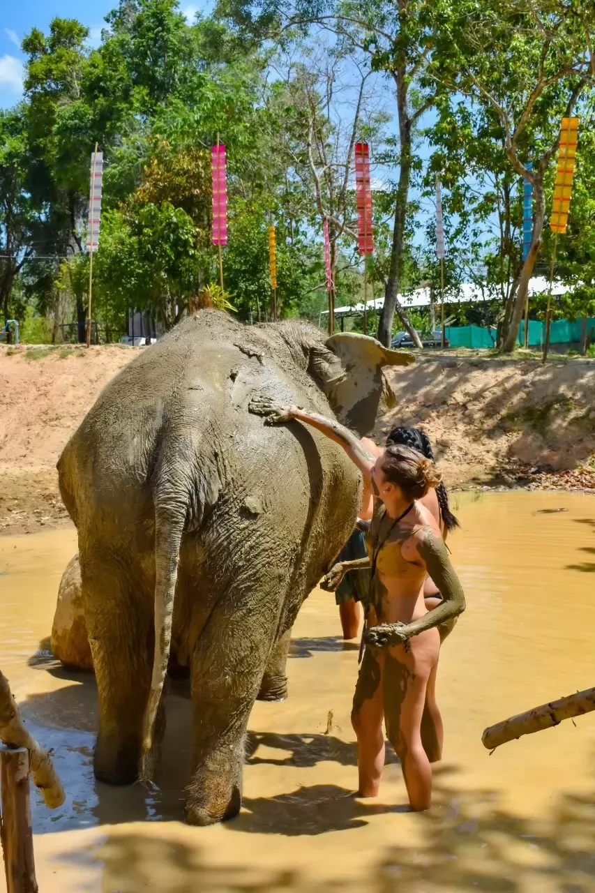 Elephant sanctuary