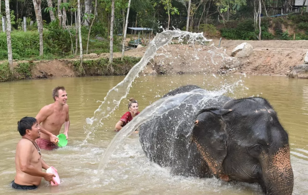 Elephant sanctuary