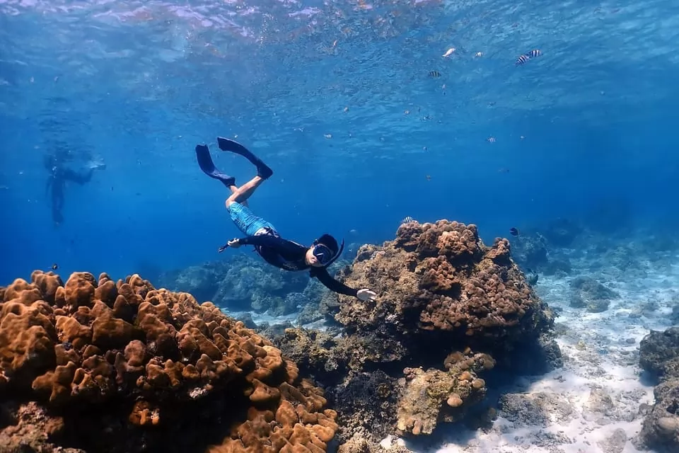 Raya-coral maiton island