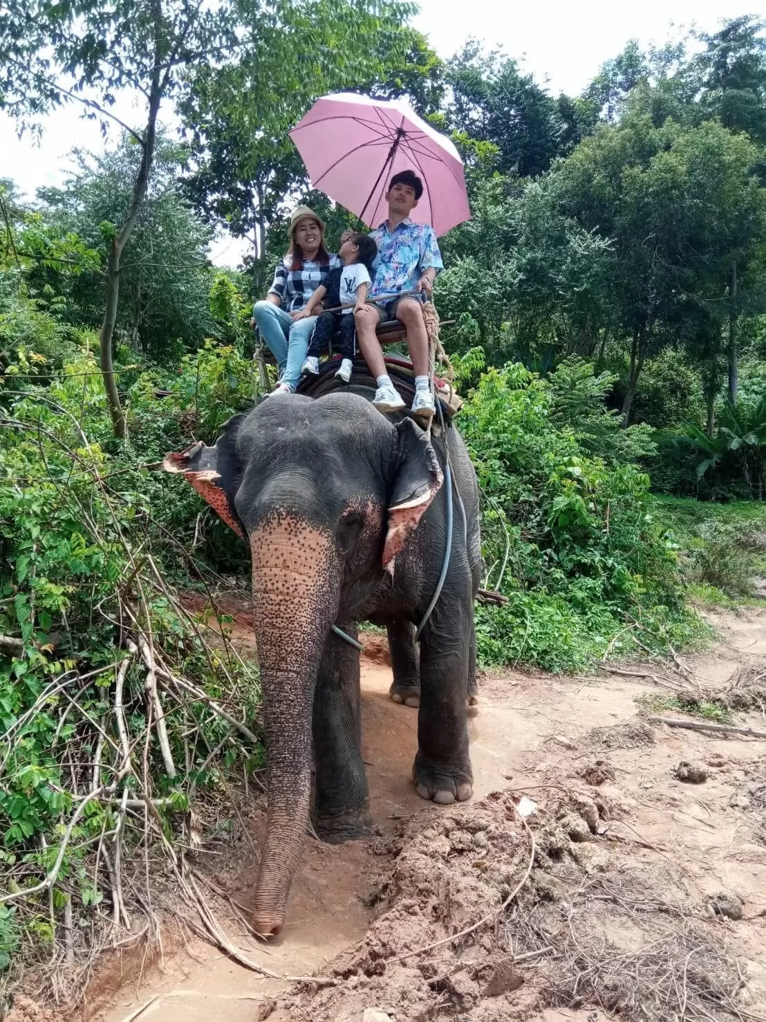 city tour tiger atv elephant 