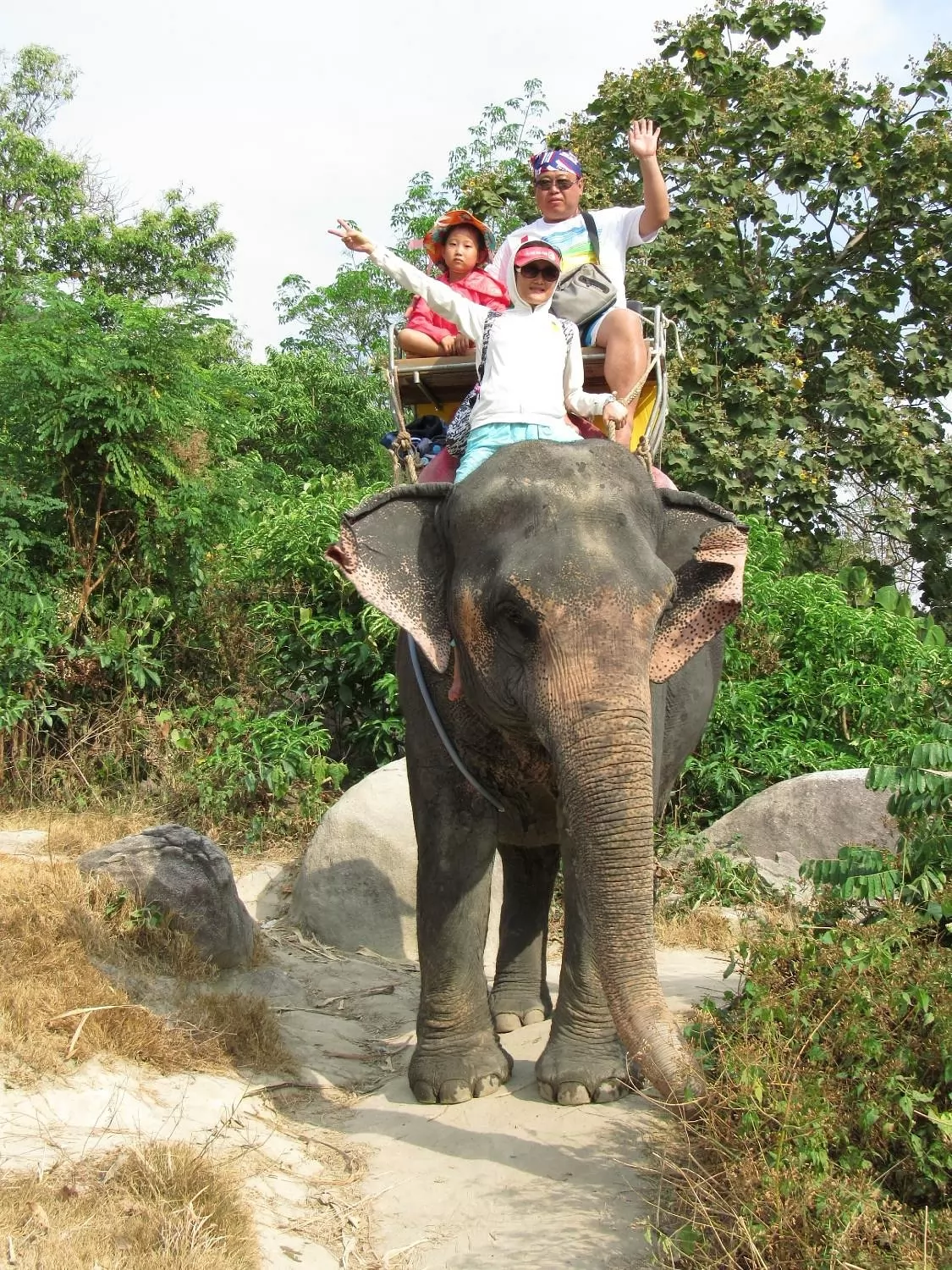 Elephant trekking