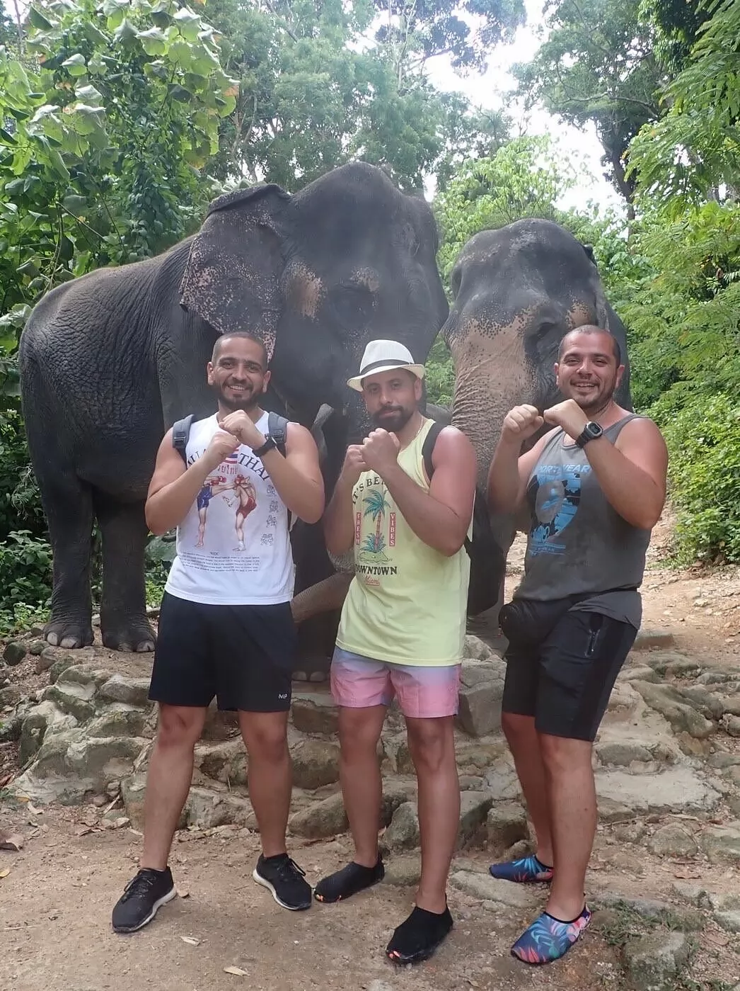 Elephant trekking