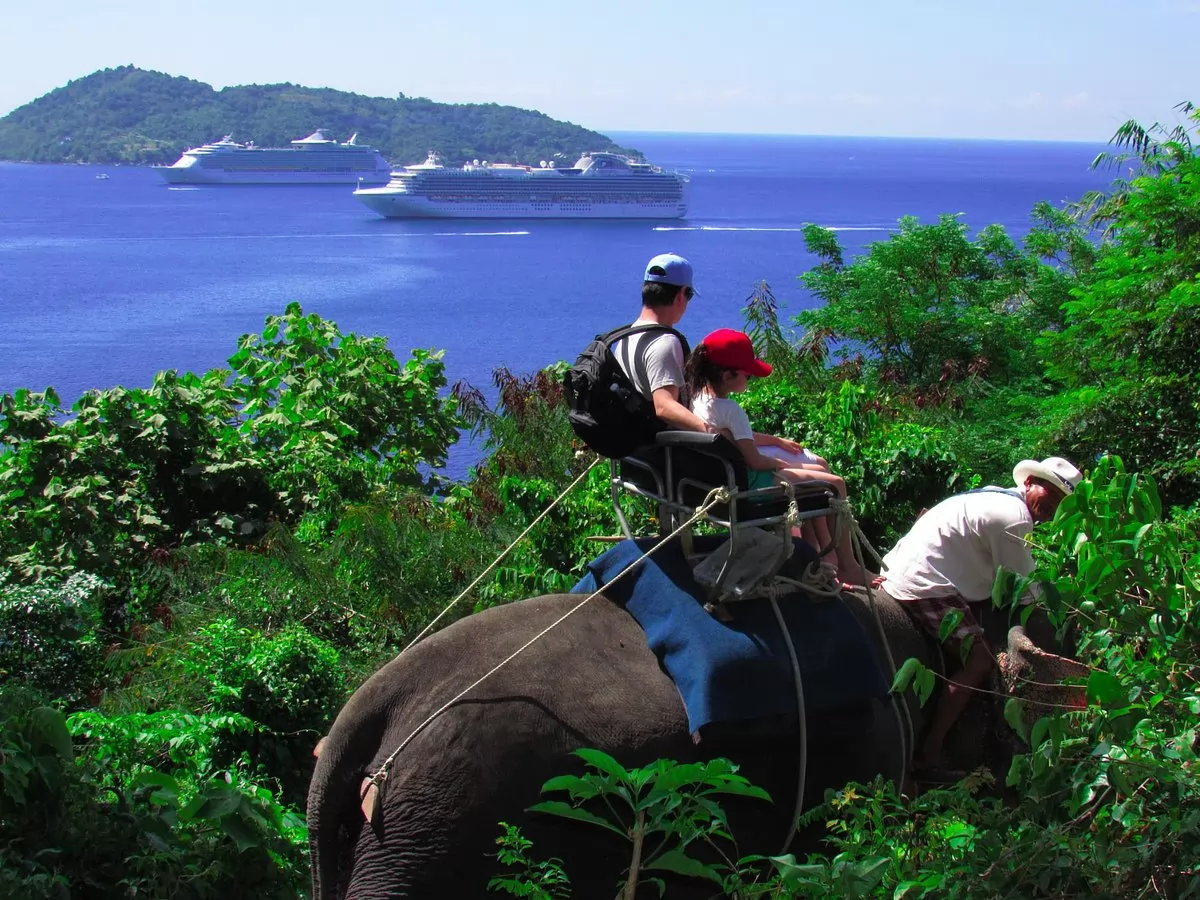 Elephant trekking