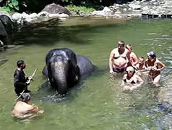 Khaolak safari